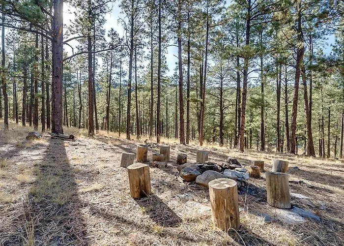 Gorgeous With Fireplace And Barbecue In Greer, Arizona