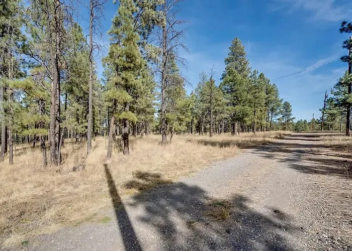 Gorgeous With Fireplace And Barbecue In Greer, Arizona Greer