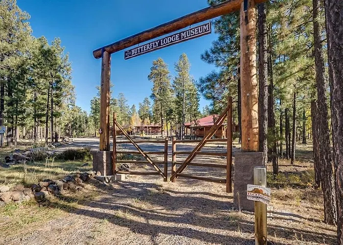 Gorgeous With Fireplace And Barbecue In Greer, Arizona